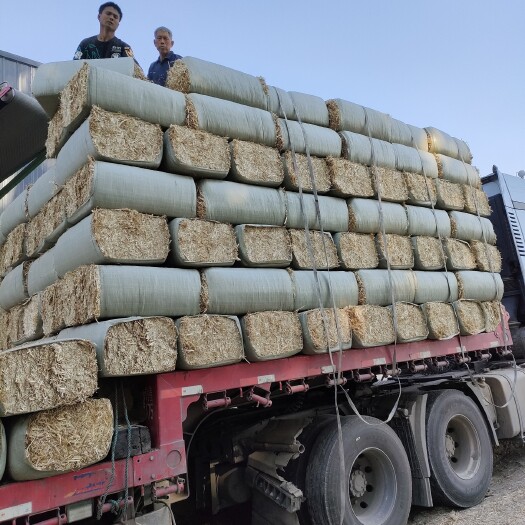 临泉县干草类饲料 2021年6月23号牛羊草料 加工中…优质的质量，美丽的价格