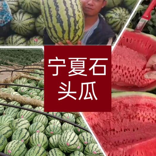 中宁县现货金城5号宁夏硒砂瓜双红瓤石头瓜瓜农直供规格齐全视频看货