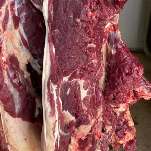 宁津县带皮鲜马肉，活马现宰，清水褪毛，人工精修去油，量大优惠
