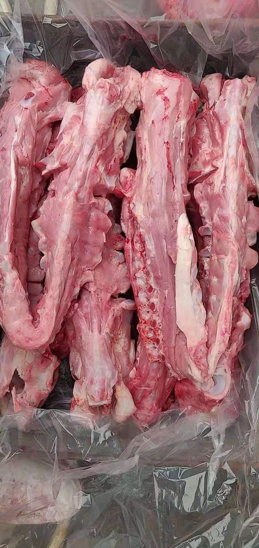 厂家精品直销羊蝎子 新鲜羊肉脊骨 一手货源欢迎选购