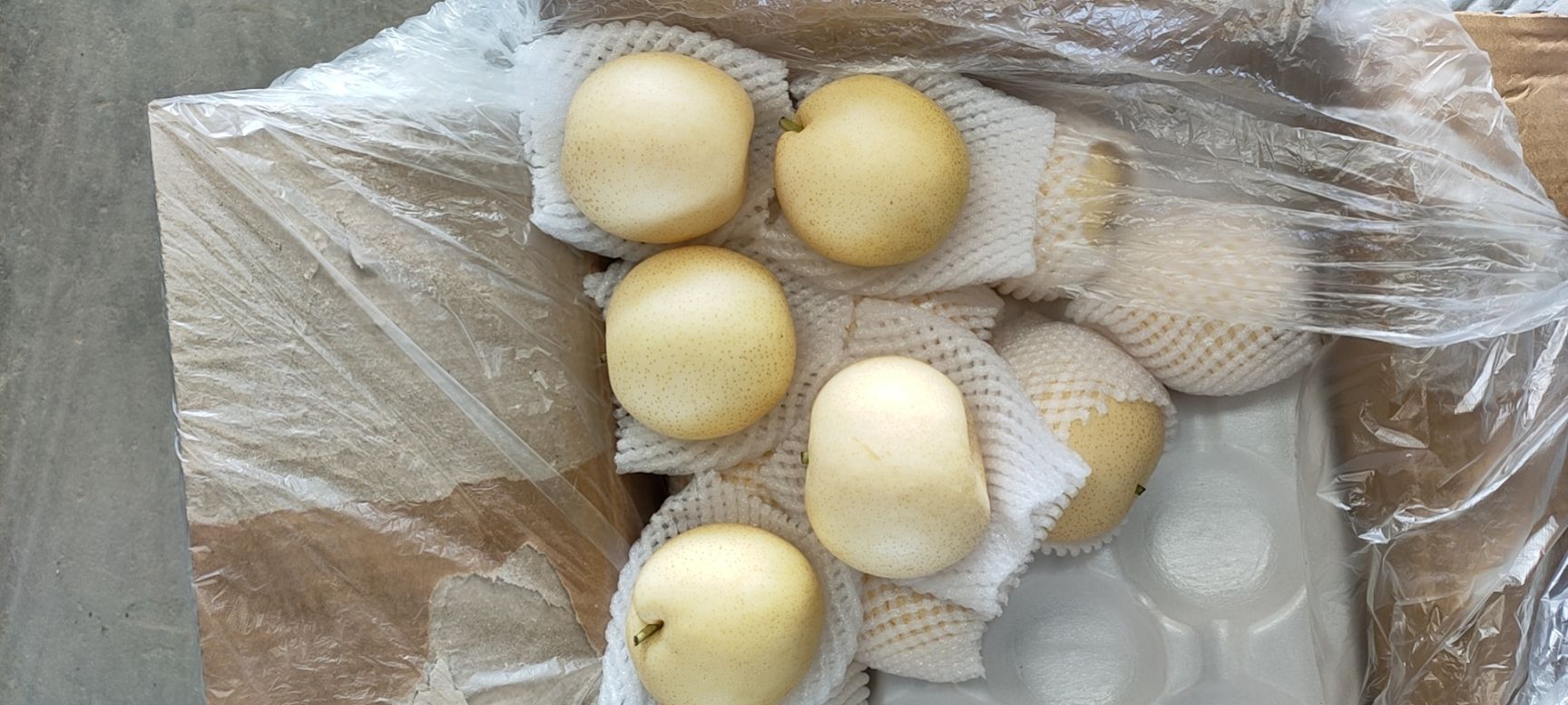 优质皇冠梨 质量好 脆甜多汁   果肉细腻 无渣 发货快