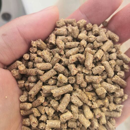 东平县底肥套餐  纯粮饲料级微生物菌剂