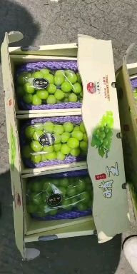 纸袋  阳光玫瑰半包袋 透明袋 扎丝河北晋州产地