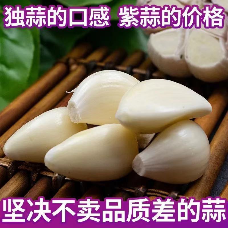 五柯农业白皮蒜新干蒜紫白皮大蒜新鲜大蒜批发价包邮