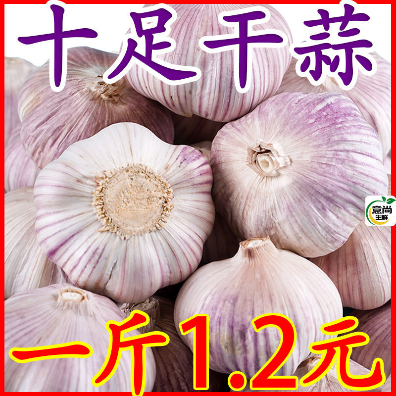 五柯农业白皮蒜新干蒜紫白皮大蒜新鲜大蒜批发价包邮