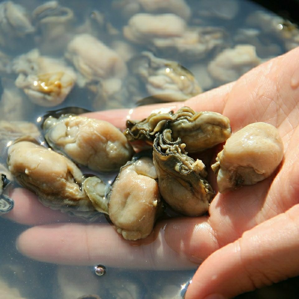 乳山特级小牡蛎干 小生蚝干海蛎干海鲜干货大袋新晒饱满无沙