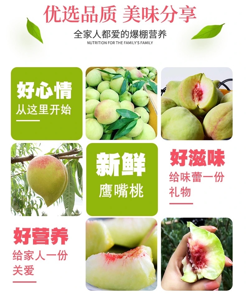 【一件代发】鹰嘴桃新鲜当季水果桃子脆甜蜜桃现摘现发