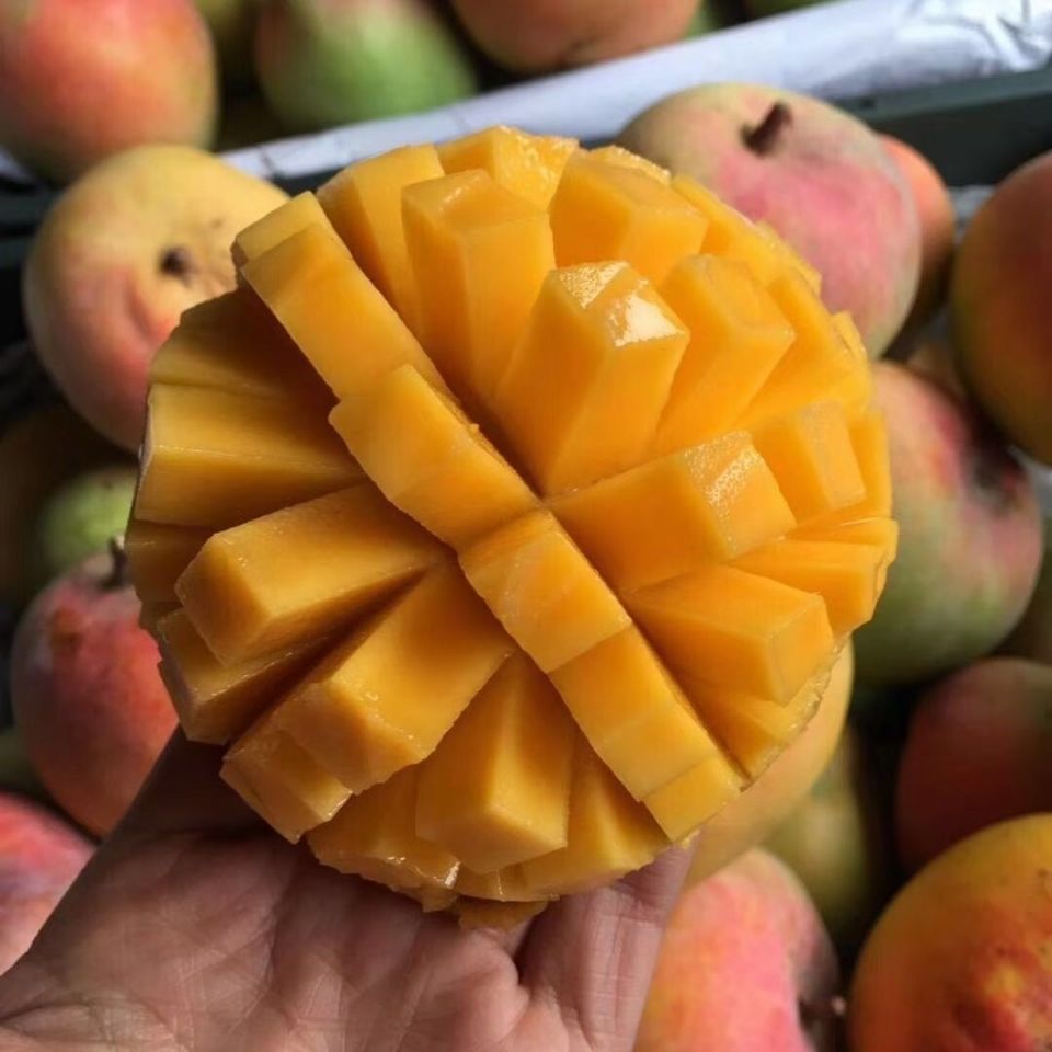 澳芒，肉多货好，价格便宜，有需要的抓紧联系我