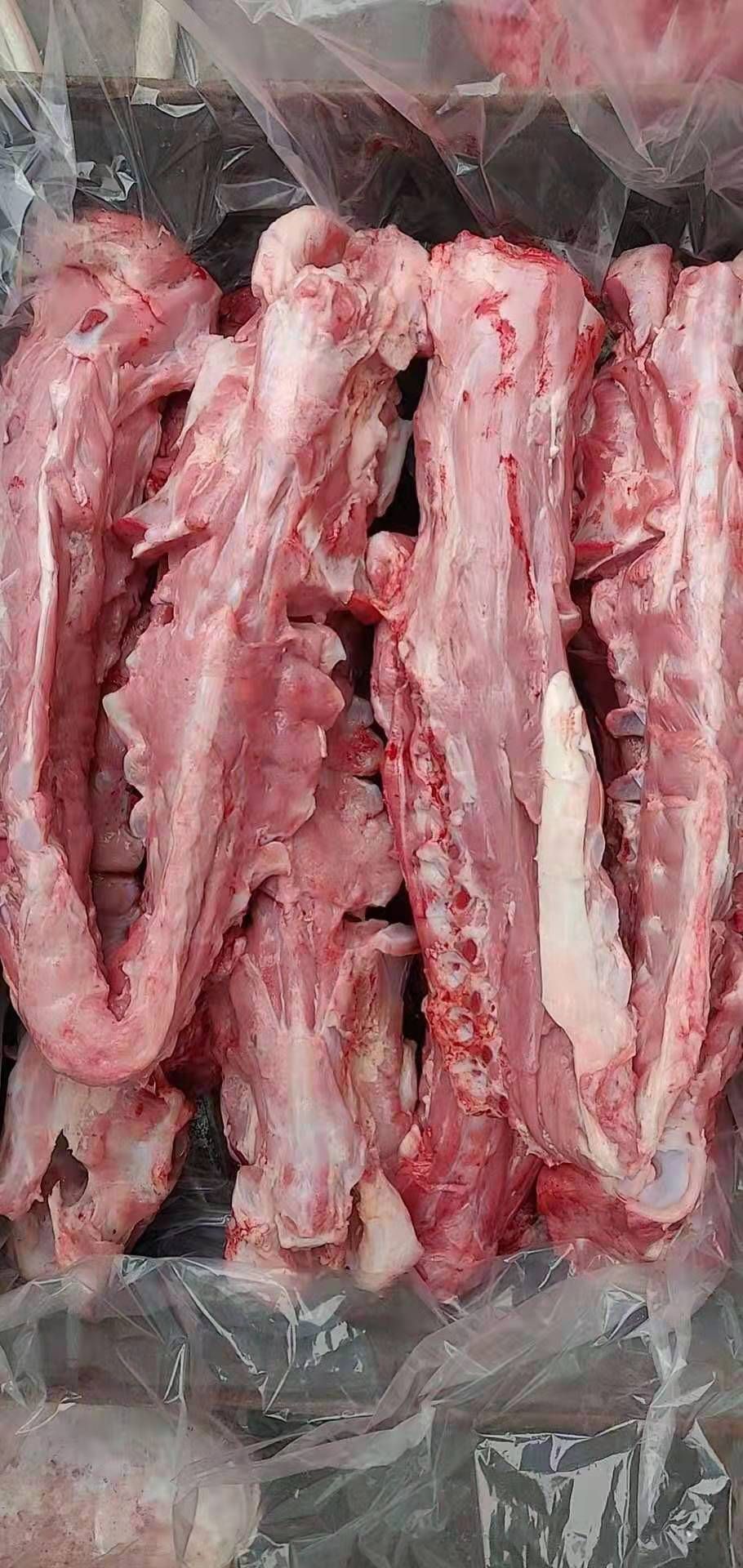 厂家精品直销羊蝎子 新鲜羊肉脊骨 一手货源欢迎选购