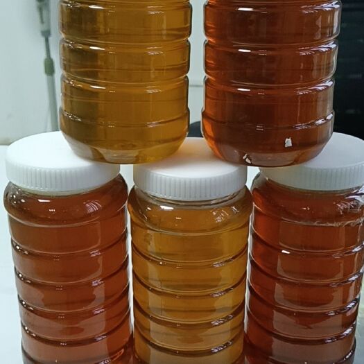 广州百花蜜 粤北韶关大山自家养蜂蜜