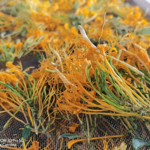 遵义 贵州山银花五彩花蒸汽花统货产地产销质量保证，长期供货