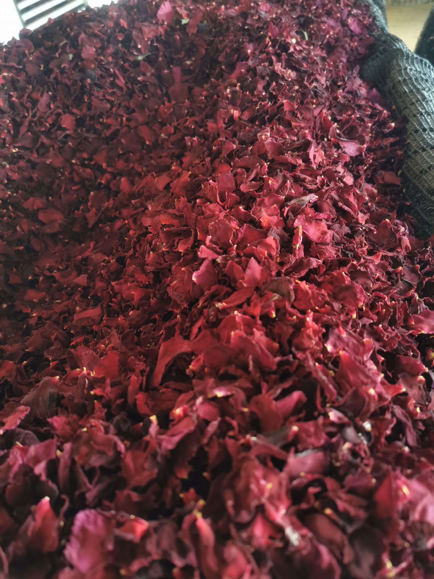 玫瑰花茶  墨红玫瑰花瓣