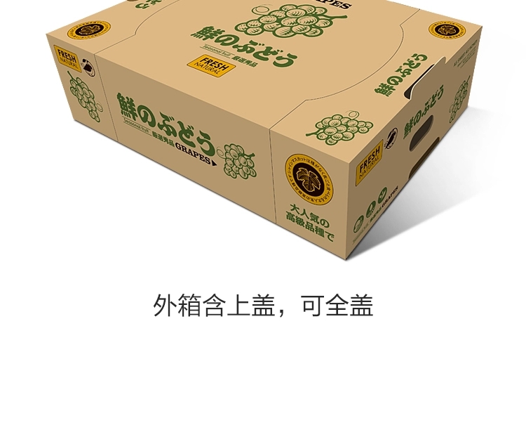 纸袋  阳光玫瑰半包袋 透明袋 扎丝河北晋州产地