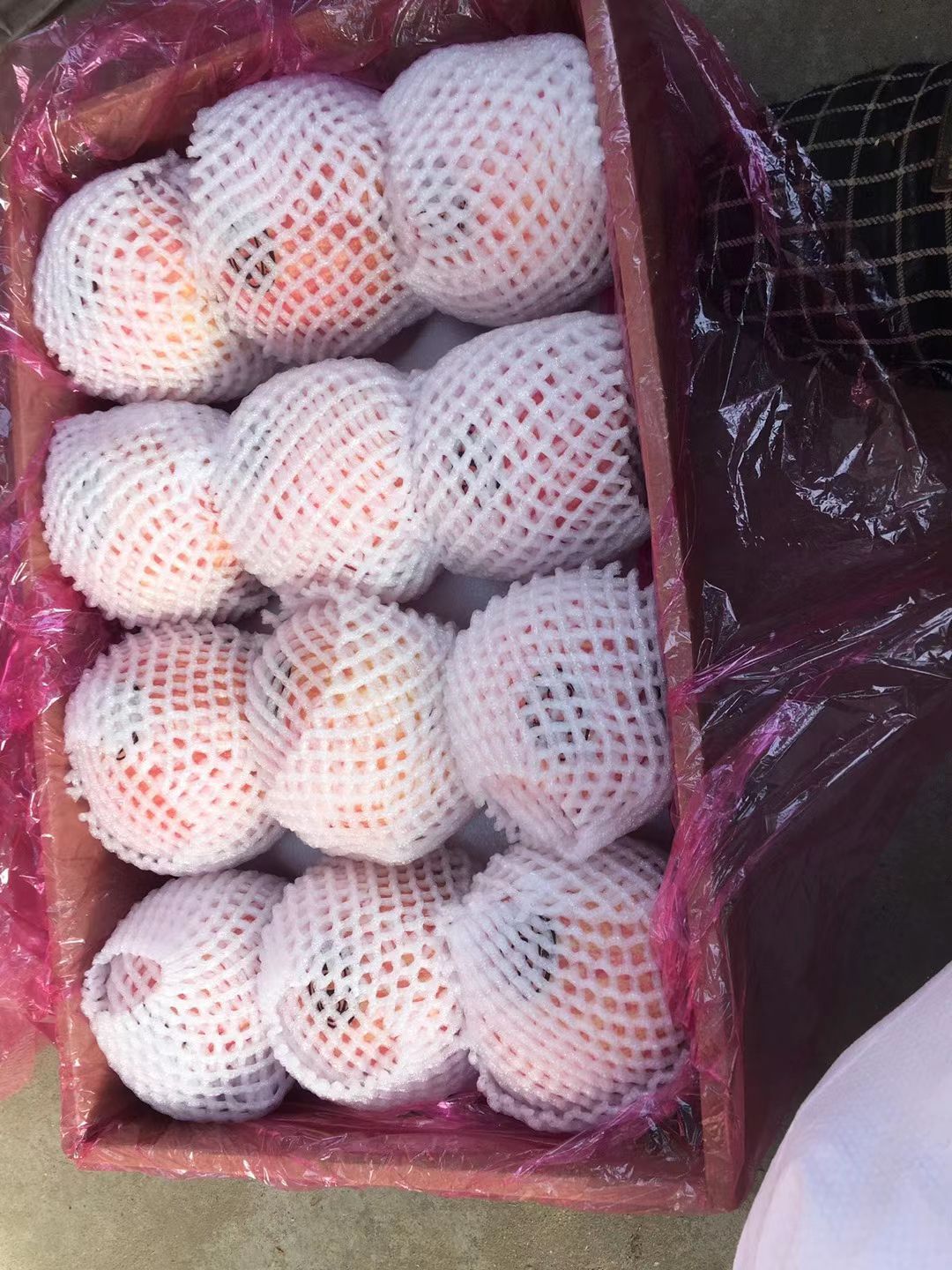 红富士苹果  灵宝寺河山红富士纸袋不贴字普通装礼盒装一件代发