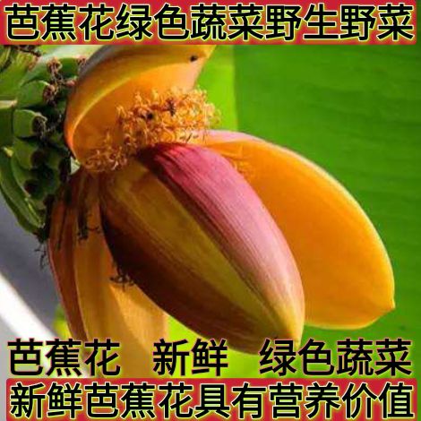 盐津县 新鲜芭蕉花 新鲜蕉花 芭蕉花蕾 绿色蔬菜野生野菜包邮