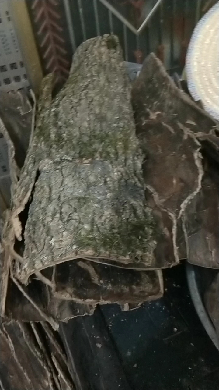 杜仲皮