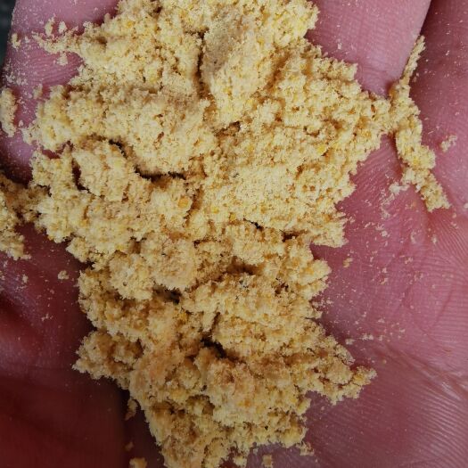 南宁谷物饲料 玉米粉  玉米胚芽粉