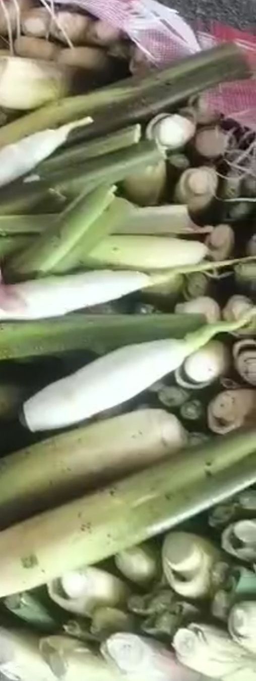 芜湖 精品货，茭白，高笋，高瓜，大量供应