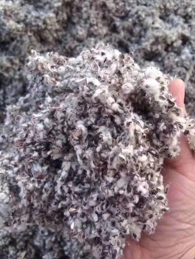 新疆库尔勒棉渣废棉，牛羊饲料原料，棉秆棉叶棉头