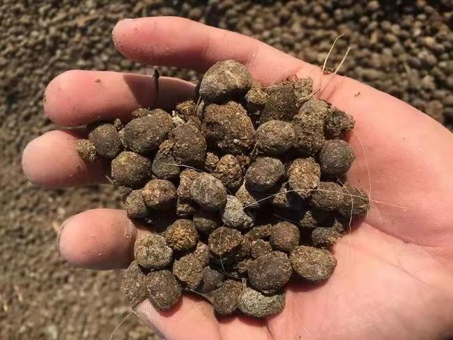 商丘 有机颗粒羊粪