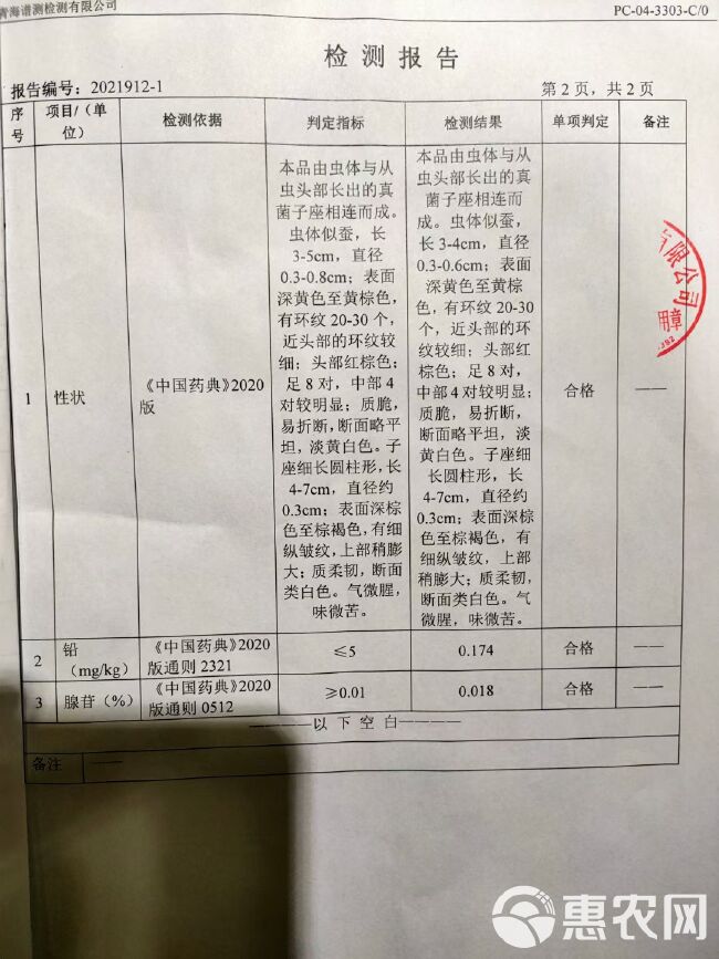 24 年那曲头茬新鲜虫草虫体饱满新鲜无断草，可泡酒打粉送礼