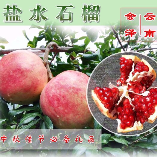 会泽县突尼斯软籽石榴  云南会泽盐水软籽石榴现摘现发中秋送礼礼盒装