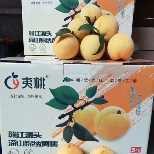 石城县锦绣黄桃，高山黄桃，甜度15.5，精品黄桃