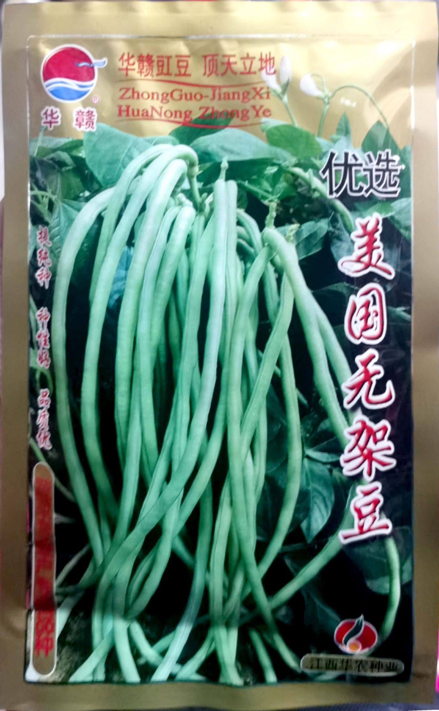 油豆角种子  《优选》美国无架豆角种子，高产肉厚、质细、纤维少，耐老化