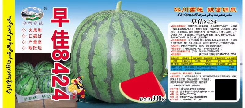 东方市早佳8424西瓜种子，瓢色大红，多汁，口感好，品质好