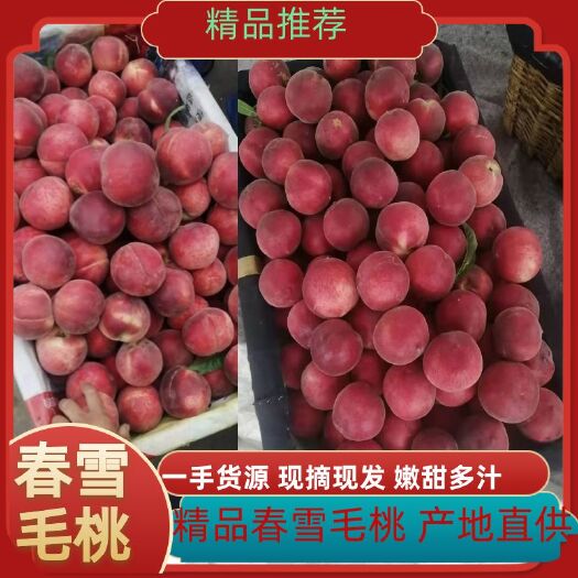 沂水县【热销】毛桃 永莲蜜 映霜红 产地直发 脆甜 货源充足