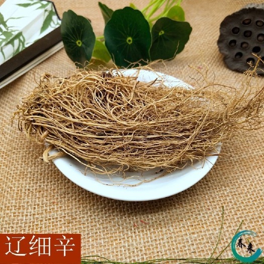 安国市北细辛  细辛个子 去头去尾切的
