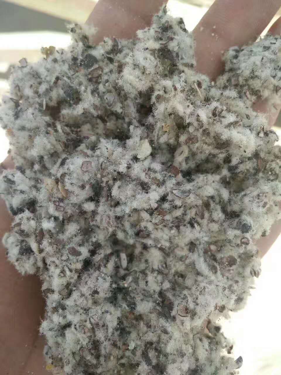 新疆克拉玛依棉渣废棉，牛羊饲料原料，棉秆棉叶棉头