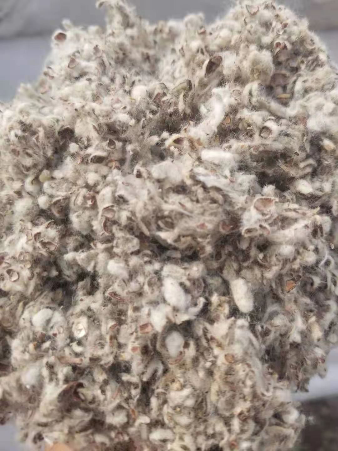新疆昌吉棉渣废棉，牛羊饲料原料，棉秆棉叶棉头