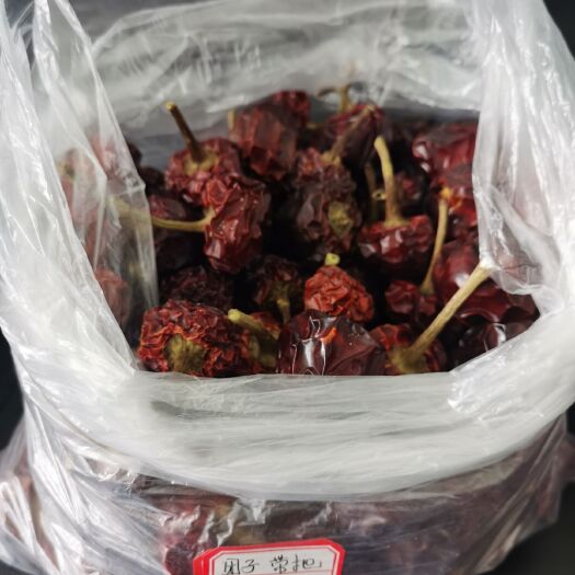 绥阳县小米椒干辣椒 干辣椒批发
