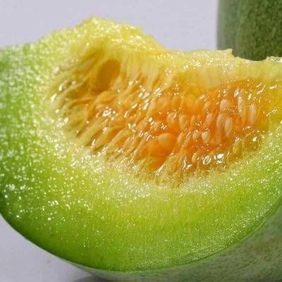 绿宝石2号甜瓜苗  绿宝石甜瓜苗   直根系绿宝苗   嫁接系绿宝苗