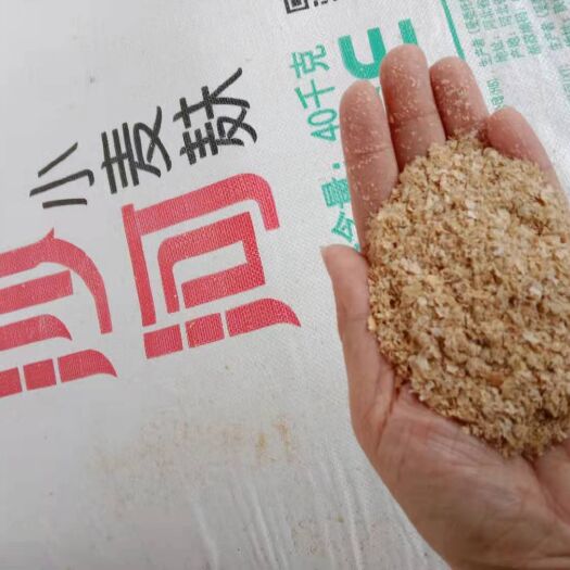 聊城麦麸  金沙河  五得利益海 中粮  麸皮优惠出货中一手货源