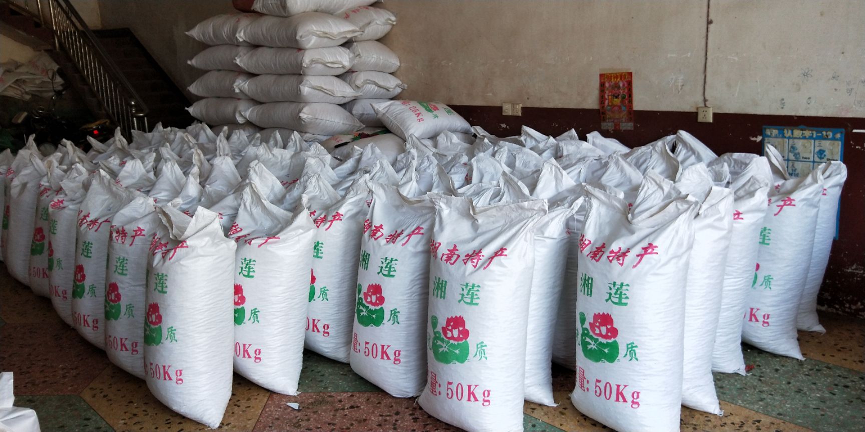 【一号特大白莲子】湘潭特产湘莲特大去心磨皮白莲子量大价优