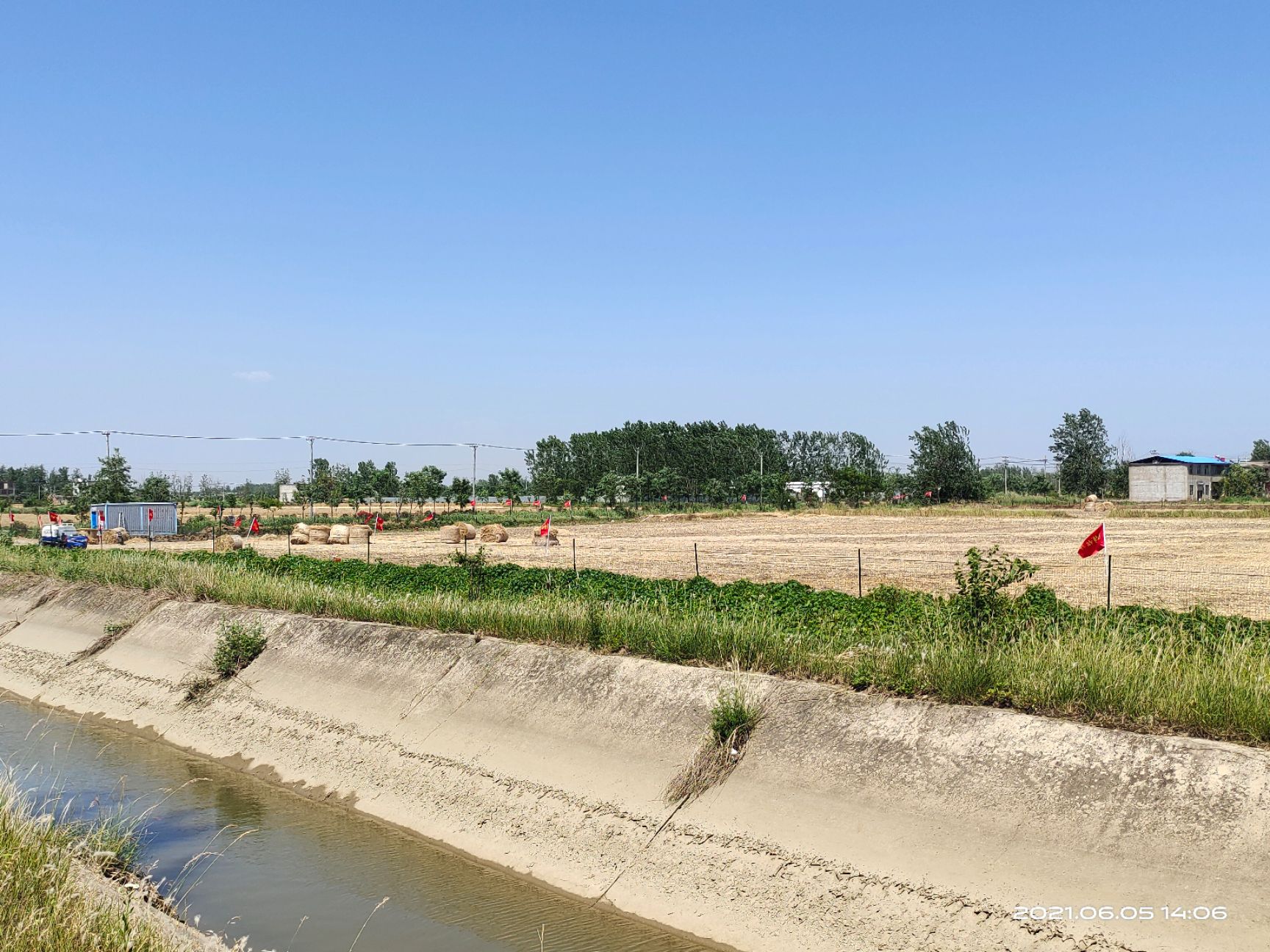 大量秸秆出售小麦