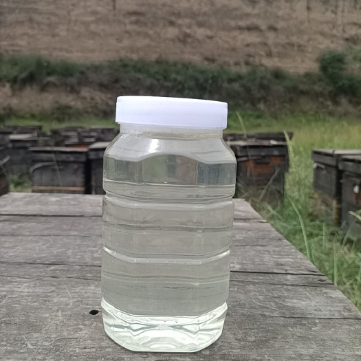 永嘉县槐花蜜  纯正洋槐蜜