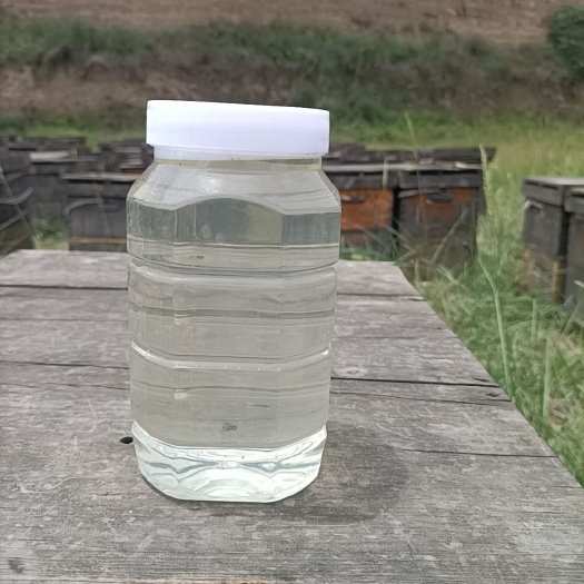 永嘉县槐花蜜  自产自销蜂蜜