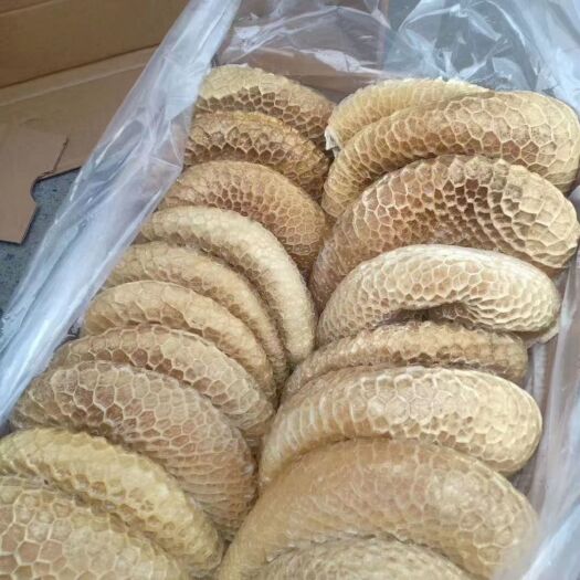 郑州牛肚  金钱肚，质量好实拍图片，