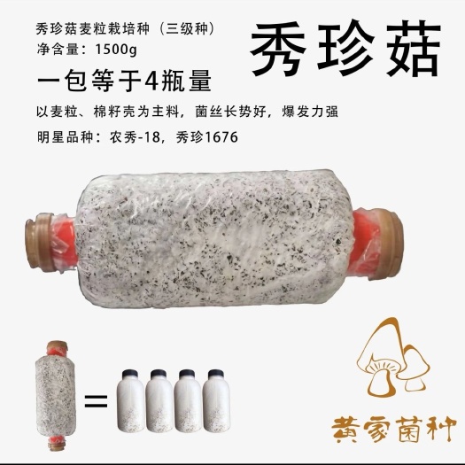 遵义平菇菌种 袖珍菇菌种栽培种