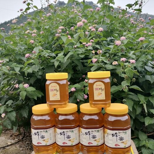 资兴市 高山木本百花土蜂蜜