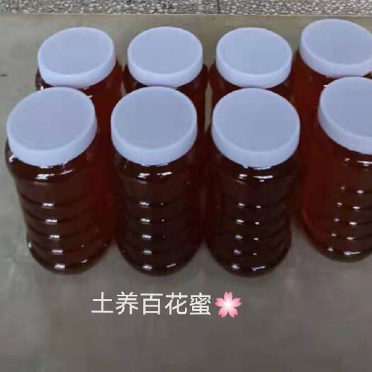 浏阳市山区中华百花蜜