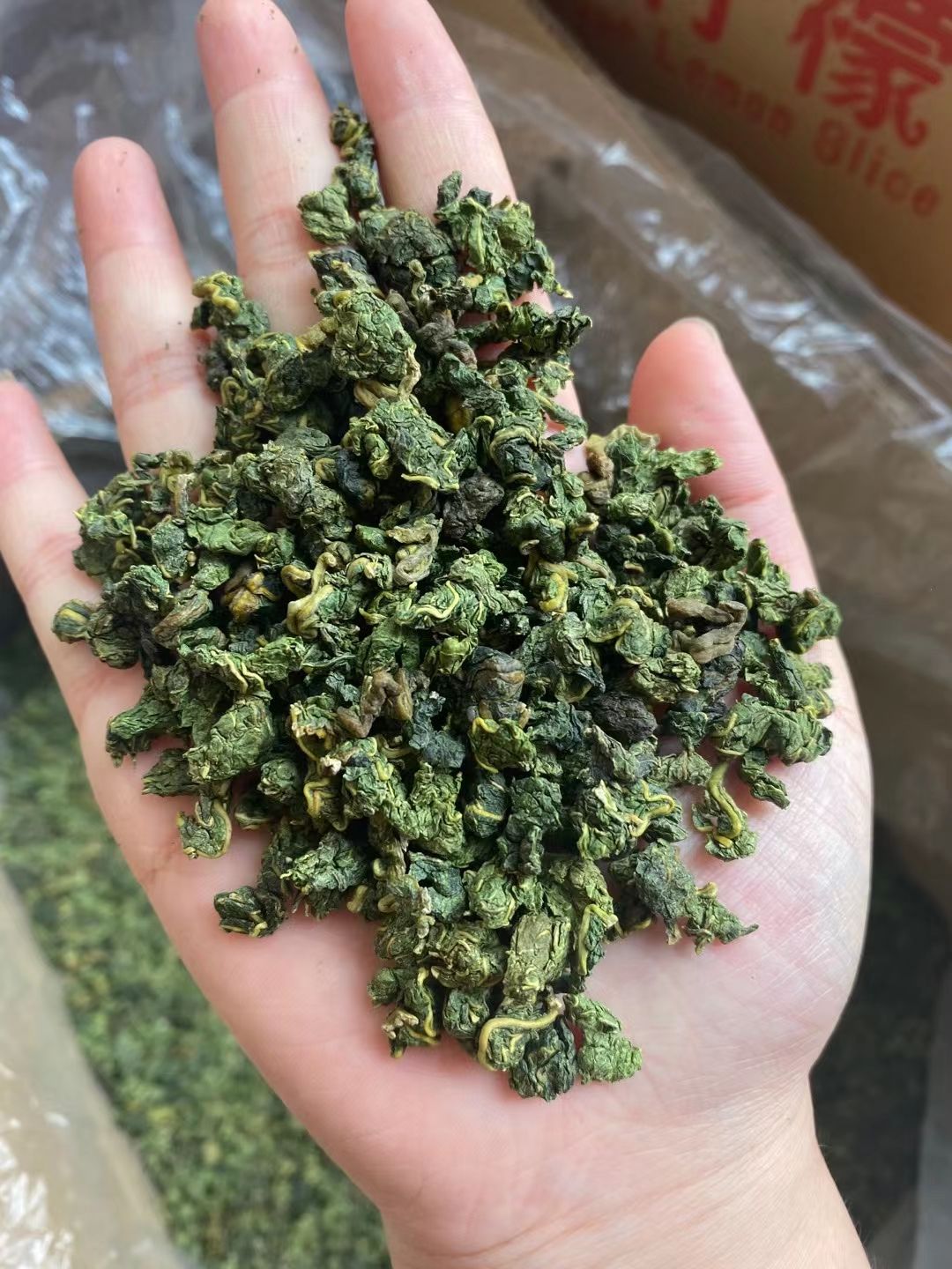 桑叶茶 霜后桑叶 大量批发桑叶茶，靓货桑叶茶 每件20kg。