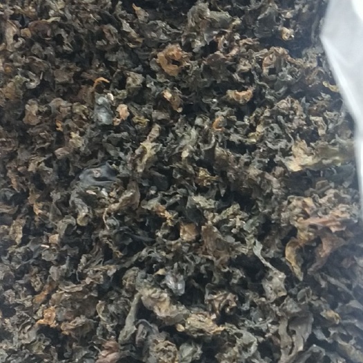 榆林地皮菜 地软菜