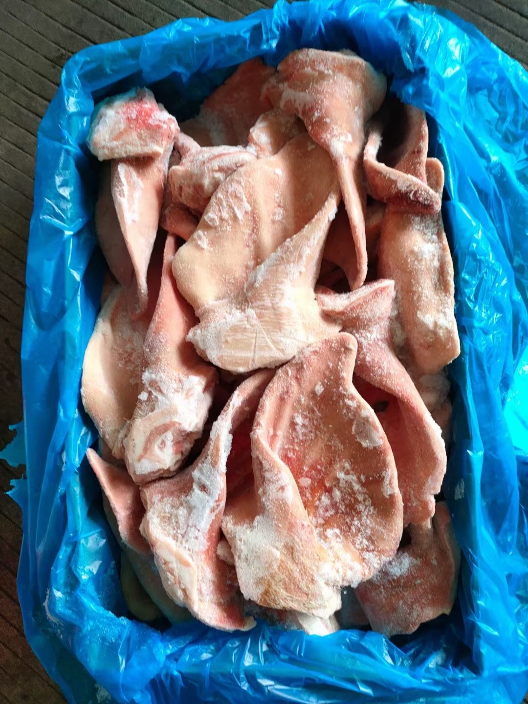 猪耳朵  正关6579A耳  靓货