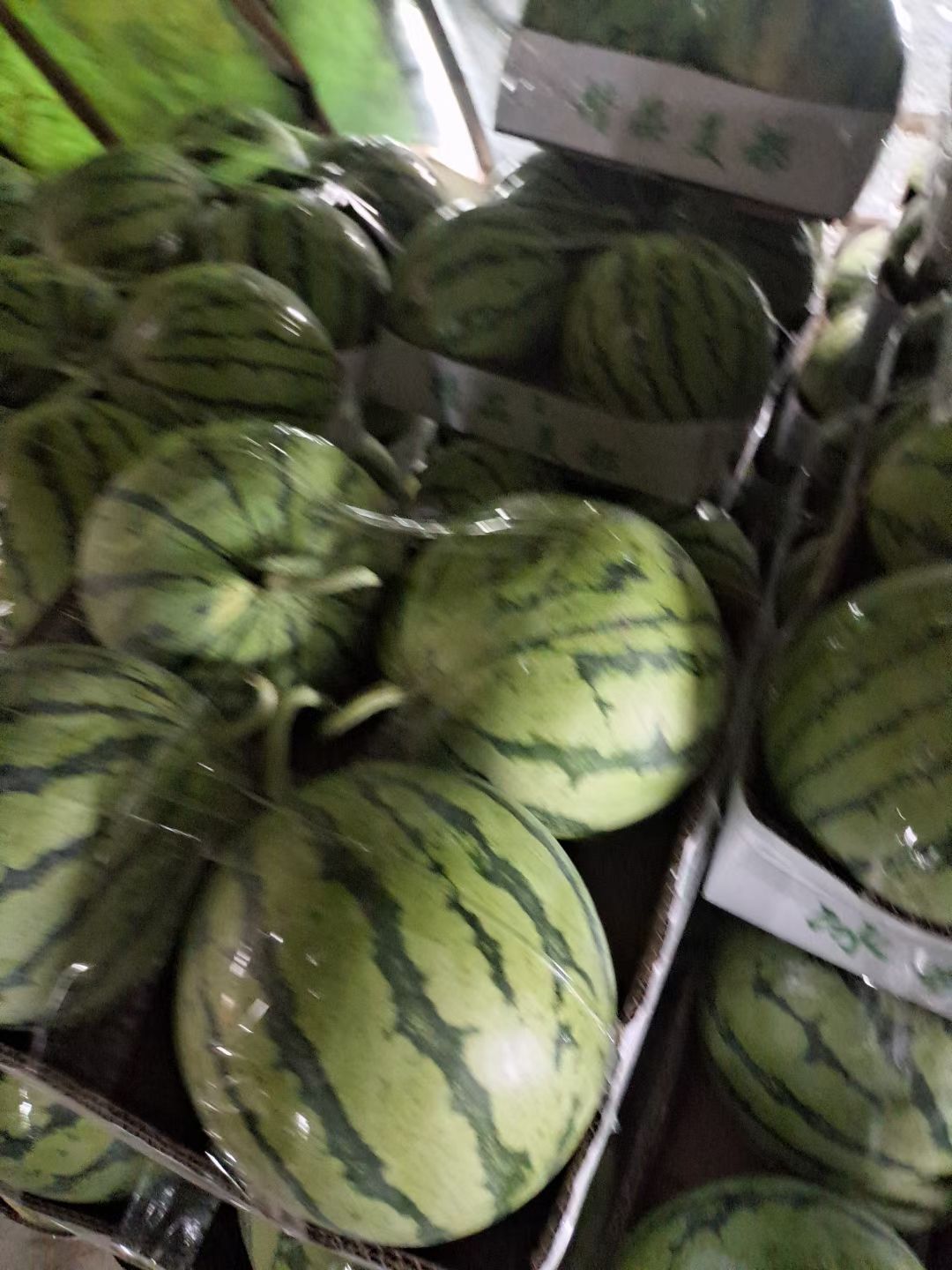 麒麟西瓜  精品麒麟瓜，瓜好味甜，支持全国出售。