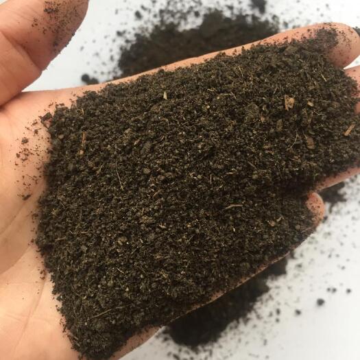 正定县发酵羊粪 发酵羊粪果蔬种植基地用肥羊粪有机肥高温腐熟羊粪肥