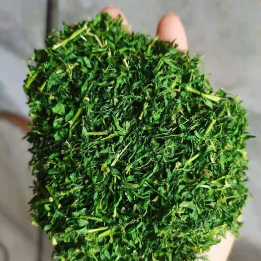 英德市莓茶  相思藤茶【茶】熬夜必备